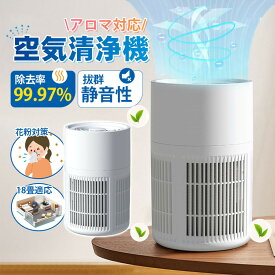 即納 空気清浄機 小型 省エネ 2重除菌 18畳対応 アロマ対応 卓上 静音 タバコ ペット ホコリ 脱臭 PM2.5 活性炭フィルタ 軽量