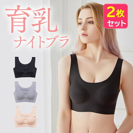 2袋セット ナイトブラ 育乳 ブラジャー 育乳ブラ 大きいサイズ 脇肉 バストアップ 谷間 脇高 痛くない おやすみブラ ノンワイヤー 補正下着 横流れ 防止 産後 夜 育乳ナイトブラ おうち時間 送料無料 昼夜兼用