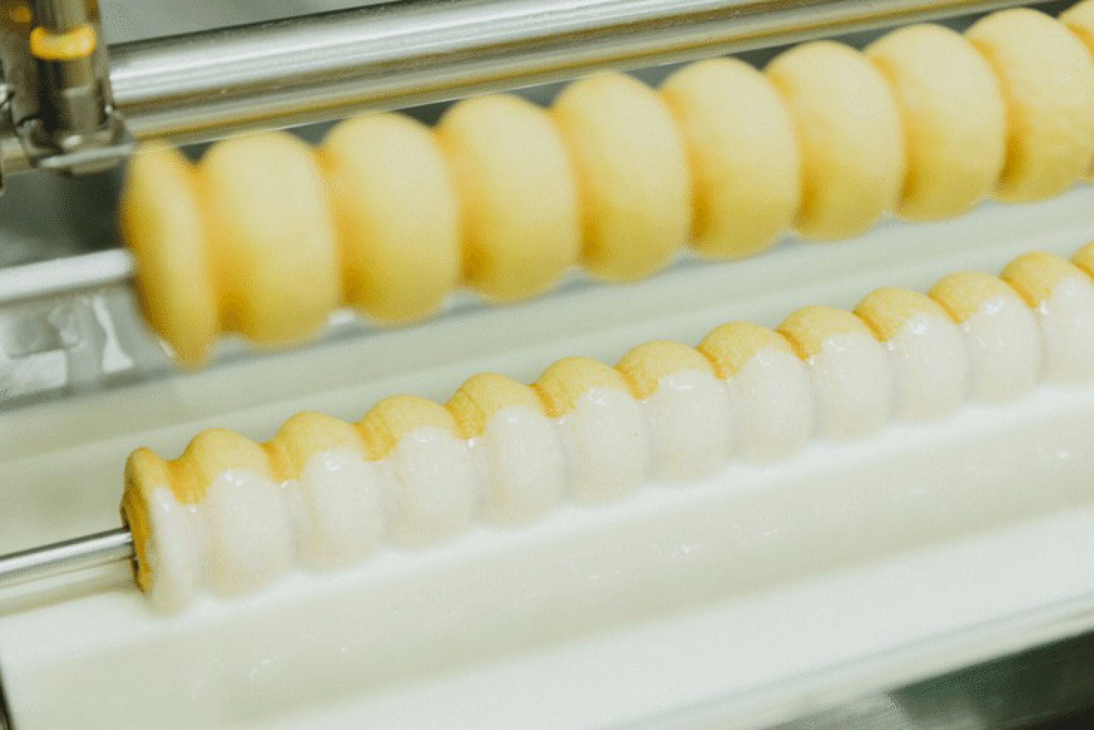 ユーハイム バウムクーヘンキュートジャパン ｜ ドイツ生まれ×日本素材の無添加バウムクーヘン ギフト チョコレート