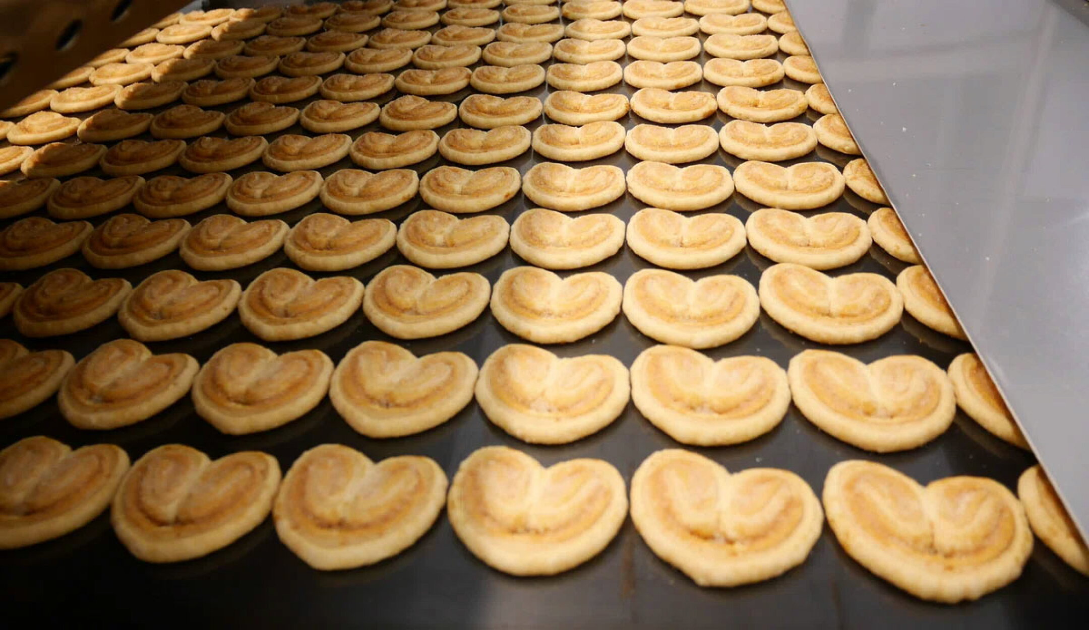 ハートがたくさん並んでいる様子。