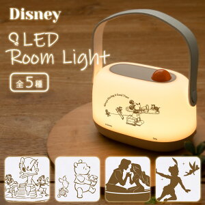 (15%OFFN[| 420F00`523F59) fBYj[ LED [Cg ~bL[ vcF xbhTCh ԐڏƖ  tACg USB[d Q rO R[hX ^  