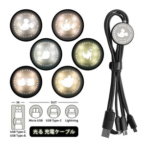 (10OFFN[| 420:00`1101:59) fBYj[ [dP[u dɌ Lightning Type-C microUSB }`[dP[u ~bL[ v[ tbV X}z[dP[u ֗ [dR[h P[u