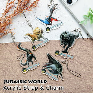(お買い物マラソン 10%OFFクーポン配布) ジュラシック・ワールド モバイル アクリルストラップ Lサイズ アクリルチャーム 携帯ストラップ 透明 クリア スマホ ストラップ ファスナーチャー