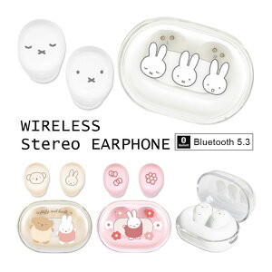 ~btB[ CXCz [dP[Xt Bluetooth 5.3 R[hX {X NAP[X Cz y ʘb XeICz  u[gD[X Ver.5.3 Ji^ 킢 P[Xt