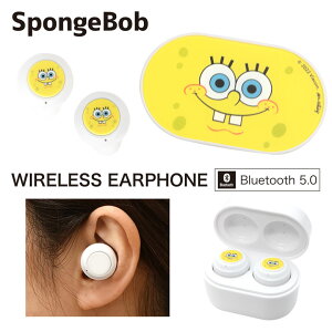X|WE{u CXCz [dP[Xt Bluetooth 5.0 R[hX LN^[ ObY XeICz  u[gD[X Ver.5.0 Cz Ji^ 킢 IV X|