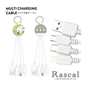 XJ [dP[u Lightning Type-C microUSB }`[dP[u iphone[dP[u Android[dP[u Jrit ֗ [dR[h P[u R[h LN^[ ObY G 킢 
