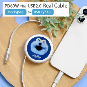 (10OFFN[| 420:00`1101:59) pybgXX Type-C to Type-CP[u [ 1m USB PD60W [d  ʐM XXObY iPhone15 AhCh X}z Type-C [dP[u [dR[h AQUOS X