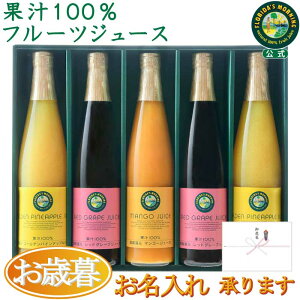 Ε Mtg W[XMtg wt[cW[X MtgZbg 500ml 35{ lߍ킹x 100W[X v[g j j v[g q  ۑ  sgp r