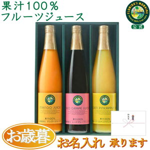 Ε Mtg w  t[cW[X MtgZbg 500ml 33{ lߍ킹x100W[X W[X v[g j j v[g  ۑ  sgp N wXP