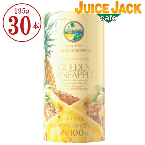 Xg[gW[X w RX^JY S[fpCAbvW[X pbN 195g×30{xXg[gʏ` 100W[X Y  pCibvW[X