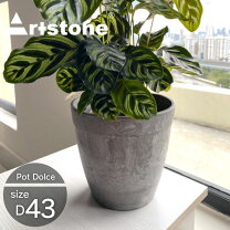 楽天市場】植木鉢 14号の通販