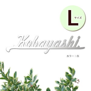y؂蕶XeX\Dzui` LTCYv