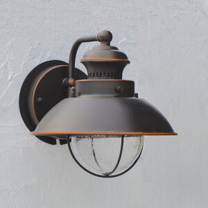 yOzyXzyGNXeACgzyƖz uAeB[NCg V-1581BBZLD iLEDj o[jbVuYv