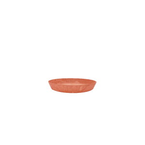 uA[gXg[iArtstonej N[Eh\[T[26iClaireRoundSaucer26jv 7Ή 4cm a26cm Aؔ 󂯎M  7 v^[ M g[ gC M Aؔ v^