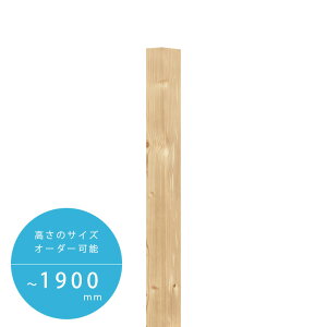 DIY O ؐ TCYI[_[ yGYMIvVzu͂GYM ǉiGRAR[Ebhj 1{ ͂σMOv 