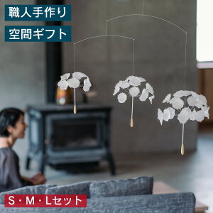 r[ ؐ  uȖт̃r[iSEMELZbg)v k`[t CeAG rOɂaɂ v[g