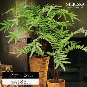 tFCNO[ ^ A ut@[iwSj 185cm VJiSilk-kajv lH ϗt A  lHϗtA  CeAO[ ϗtA tFCN O[ rO Ce