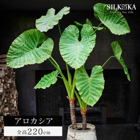 大型 フェイクグリーン「アロカシア 220cm シルカ（Silk-ka）」おしゃれ リアル 人工観葉植物 草花 インテリア グリーン クワズイモ