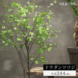 大型 フェイクグリーン 「 ドウダンツツジ 244cm シルカ（Silk-ka）」 おしゃれ リアル 人工観葉植物 樹木 インテリア グリーン 灯台躑躅 どうだんつつじ 造花 観葉 植物 大型観葉植物 プランツ フェイク 人工 大きい 大きめ 室内 会社 人工植物 玄関 リビング 入口 上品