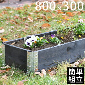 yؐv^[z yK[fjOz yԒdz ua+ design K[f{bNX800×300 ubNv