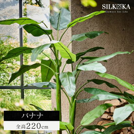 大型 フェイクグリーン 「 バナナ 220cm シルカ（Silk-ka）」 おしゃれ リアル 人工観葉植物 草花 インテリア グリーン 実芭蕉 造花 観葉 植物 南国 リゾート 大型観葉植物 プランツ フェイク 人工 大きい 大きめ バナナの木 室内 会社 人工植物 玄関 リビング