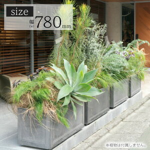 Aؔ  E^ uNUv^[ XeBbNKD780v e76L ꌊ 37cm 78cm s35cm O[ Y 