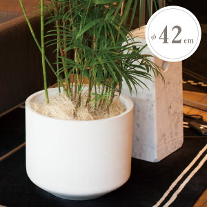  ^ Jo[ u|vijiPOPNANIj pg Mv a42cm 36.5cm e40L zCg