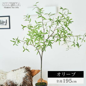 大型 フェイクグリーン「オリーブ 195cm シルカ（Silk-ka）」おしゃれ リアル 人工観葉植物 樹木 インテリア グリーン 夫婦の木