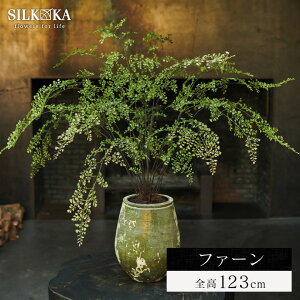 tFCNO[ ^ ut@[ip[j 123cm VJ iSilk-kajv  A lHϗtA  CeA O[ V ϗt A  lH lHA ][gCe