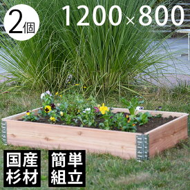 【木製プランター】 【砂場】 【花壇】 「a+ design ガーデンボックス1200×800 2個セット ナチュラル」