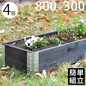 yؐv^[z yK[fjOz yԒdz ua+ design K[f{bNX800×300 4Zbg ubNv