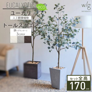 tFCNO[Zbg ^uۗt[JS×g[XNGA w/g-ecov170cm lHϗtA CeAO[ v^[ ȒPg  A  ItBX