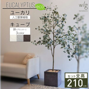 tFCNO[Zbg ^uۗt[JL×L[u w/g-ecov210cm lHϗtA CeAO[ v^[ ȒPg  A  ItBX