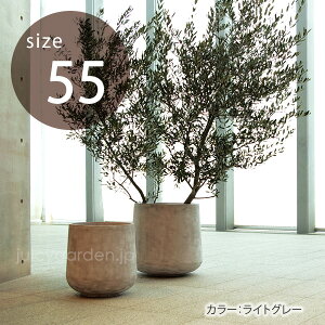 観葉植物 8号 大型 プランターの人気商品 通販 価格比較 価格 Com