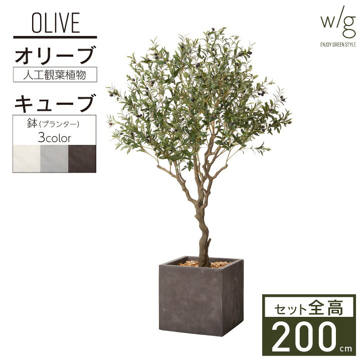 楽天市場】フェイクグリーン 大型 2m 特大 「オリーブL×Cube w/g」 高 