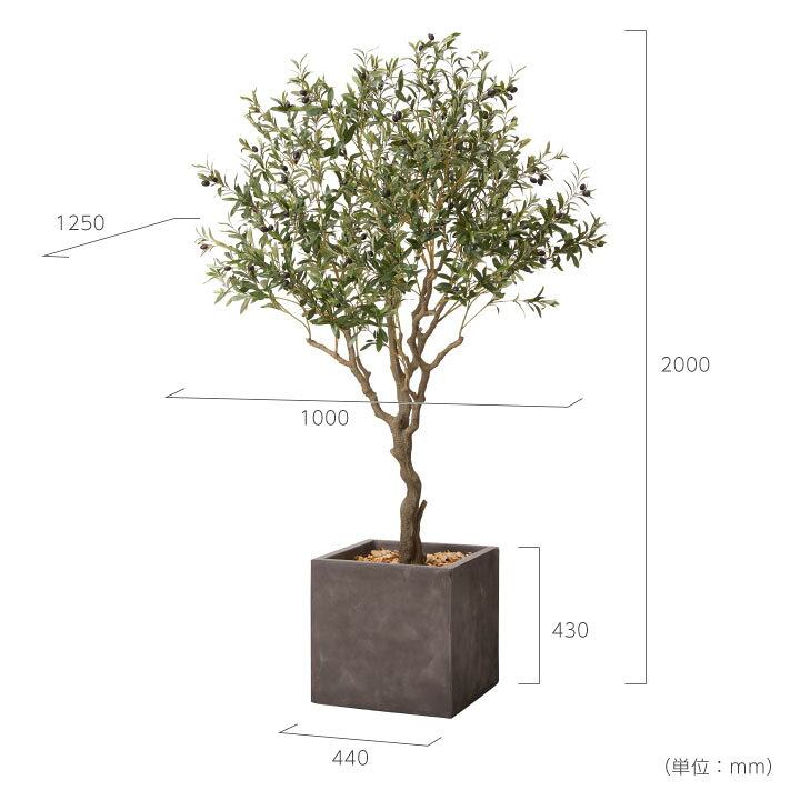 楽天市場】フェイクグリーン 大型 2m 特大 「オリーブL×Cube w/g」 高さ200cm 人工観葉植物 インテリアグリーン プランター : ポストと表札のジューシーガーデン 楽天市場】フェイクグリーン 大型 2m 特大 「オリーブL×Cube w/g」 高さ200cm 人工観葉植物 インテリアグリーン プランター : ポストと表札のジューシーガーデン