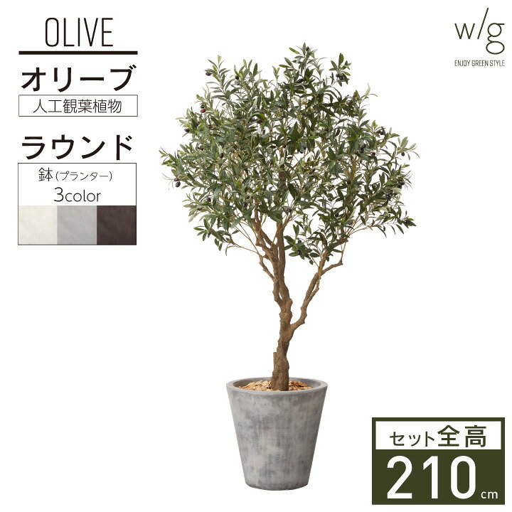 楽天市場 フェイクグリーン 大型 リアル 2m オリーブｌ Round W G 高さ210cm 人工観葉植物 鉢セット インテリアグリーン プランター 簡単組立 おしゃれ リアル 室内 オフィス ポストと表札のジューシーガーデン