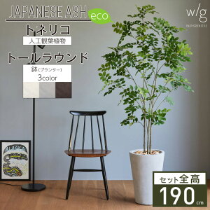 tFCNO[Zbg ^uglR×g[Eh w/g-ecov190cm lHϗtA CeAO[ v^[ ȒPg  A  ItBX