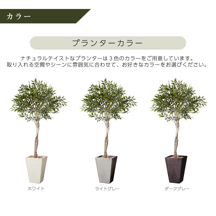 楽天市場 人工樹木 鉢セット W G スマイラックス Tall Square 高さ190cm 大型 人工観葉植物 プランター 簡単組立 ポストと表札のジューシーガーデン 楽天市場 人工樹木 鉢セット W G スマイラックス Tall Square 高さ190cm 大型 人工観葉植物 プランター 簡単組立 ポストと表札のジューシーガーデン