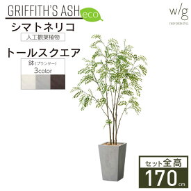 フェイクグリーン鉢セット 大型「シマトネリコ×トールスクエア w/g-eco」高さ170cm 人工観葉植物 インテリアグリーン プランター 簡単組立 おしゃれ リアル 室内 オフィス