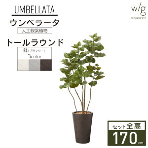tFCNO[Zbg ^uEx[^×Tall Round w/gv170cm tBJX S̖ lHϗtA CeAO[ v^[ ȒPg  A  ItBX