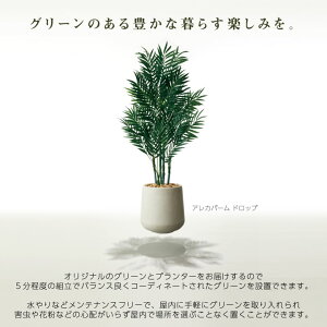 楽天市場 人工樹木 鉢セット W G ウンベラータ Tall Round 高さ170cm 大型 人工観葉植物 プランター 簡単組立 ポストと表札のジューシーガーデン
