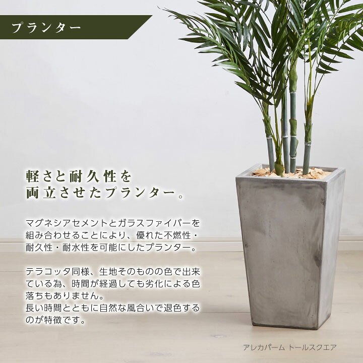 楽天市場】フェイクグリーン鉢セット 大型「ウンベラータ×Tall Round w 