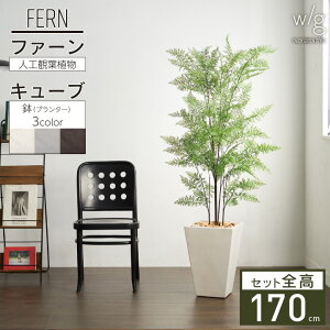 tFCNO[Zbg ^ ut@[×Tall Square w/gv 170cm lHϗtA CeAO[ v^[ ȒPg  A  ItBX