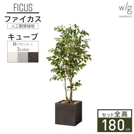 フェイクグリーン鉢セット 大型「ファイカス×Cube w/g」高さ180cm フィカス ベンジャミン ゴムの木 人工観葉植物 インテリアグリーン プランター 簡単組立 おしゃれ リアル 室内 オフィス