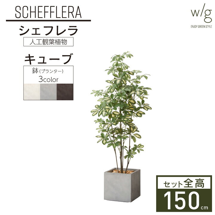 楽天市場 フェイクグリーン リアル 大型 シェフレラ Cube W G 高さ150cm 人工観葉植物 鉢セット インテリアグリーン プランター 簡単組立 おしゃれ リアル 室内 オフィス ポストと表札のジューシーガーデン
