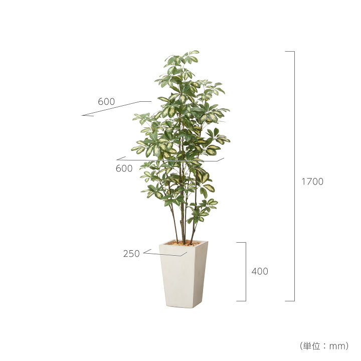 楽天市場 フェイクグリーン鉢セット 大型 シェフレラ Tall Square W G 高さ170cm 人工観葉植物 インテリアグリーン プランター 簡単組立 おしゃれ リアル 室内 オフィス ポストと表札のジューシーガーデン