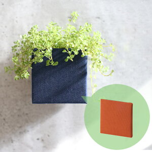 uv^[{bNX nRgRihacotocojIvV L[upJ[pl 1 110mmpv