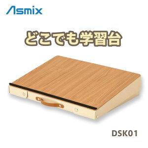AXJ ǂłwK DSK01 ׋ rOwK [ [Xy[X [ ^щ ^т₷ X10° p ɂ WUP G` ׋ Ǐ X RpNg 