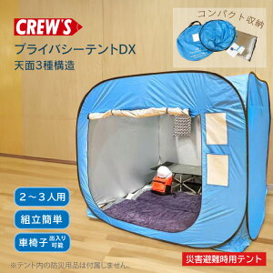 CREWfS vCoV[eg DX V3\ 2-3lp ЊQ h  peg  peg Hsv |bvAbveg